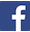 facebook_logo_detail_mini